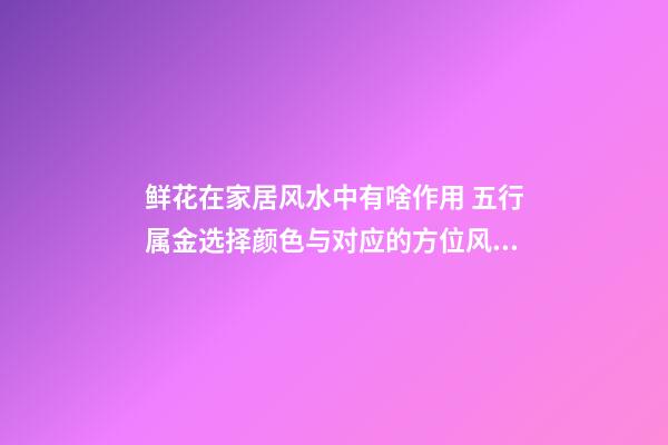 鲜花在家居风水中有啥作用 五行属金选择颜色与对应的方位风水有